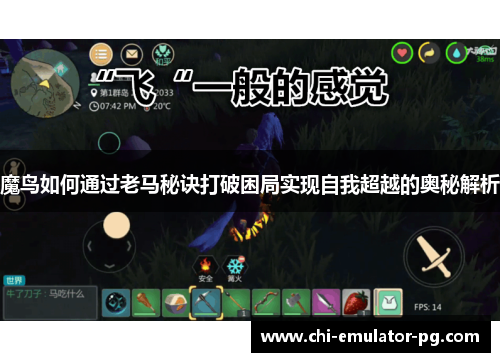 魔鸟如何通过老马秘诀打破困局实现自我超越的奥秘解析 魔鸟如何通过老马秘诀打破困局实现自我超越的奥秘解析