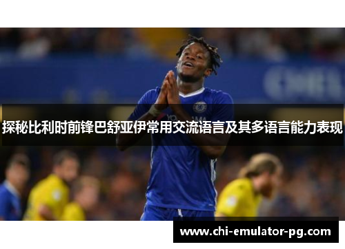 探秘比利时前锋巴舒亚伊常用交流语言及其多语言能力表现 探秘比利时前锋巴舒亚伊常用交流语言及其多语言能力表现