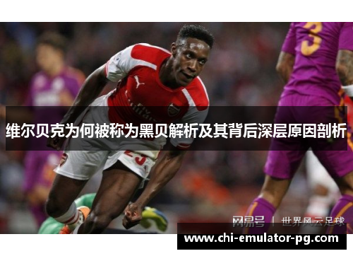 维尔贝克为何被称为黑贝解析及其背后深层原因剖析 维尔贝克为何被称为黑贝解析及其背后深层原因剖析